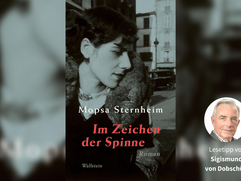 Das Cover von &bdquo;Im Zeichen der Spinne&ldquo;