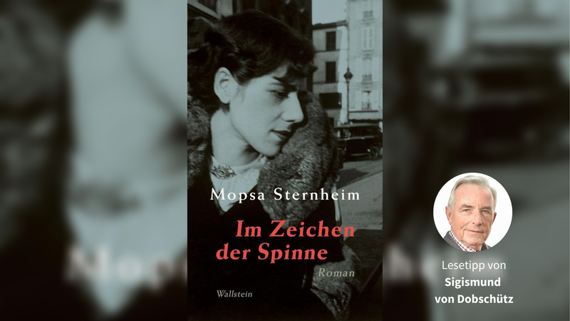 Das Cover von &bdquo;Im Zeichen der Spinne&ldquo;