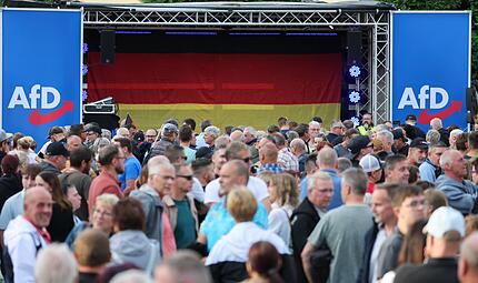 Wahlkampf Sachsen-Anhalt - AfD