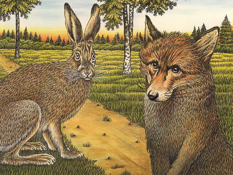 Warum tragen nicht wenige Menschen in Franken tierische Nachnamen wie Hase oder Fuchs? Warum tragen nicht wenige Menschen in Franken tierische Nachnamen wie Hase oder Fuchs?