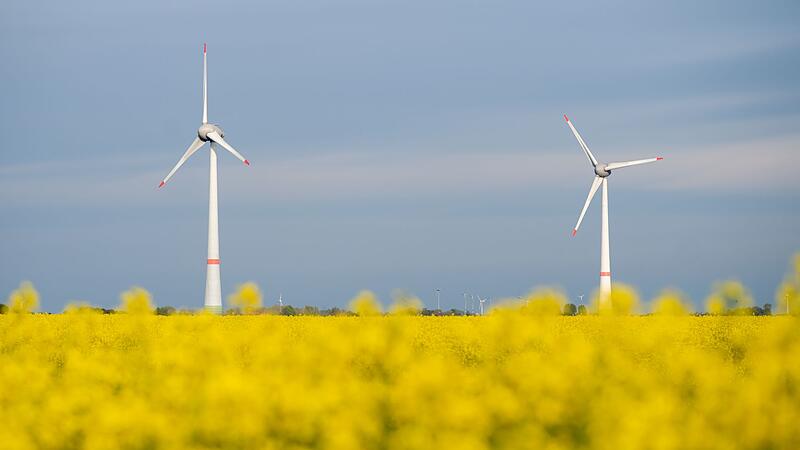 Rapsbl&uuml;te in Niedersachsen