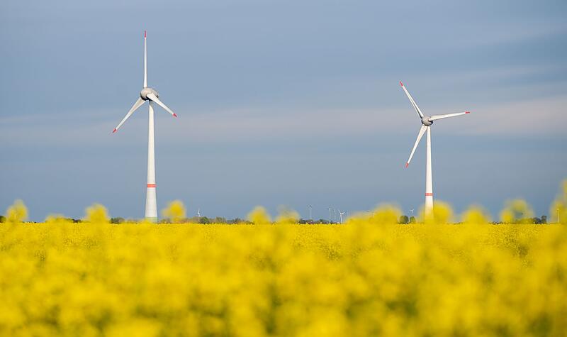 Rapsbl&uuml;te in Niedersachsen