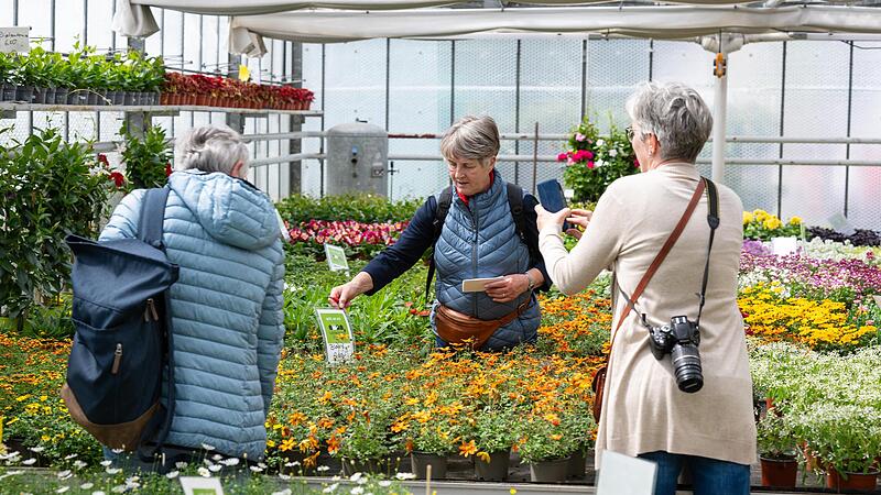 Was bl&uuml;ht denn da? In den Gew&auml;chsh&auml;usern waren bekannte und neue Pflanzen zu bestaunen und wurden teilweise per Handy festgehalten.