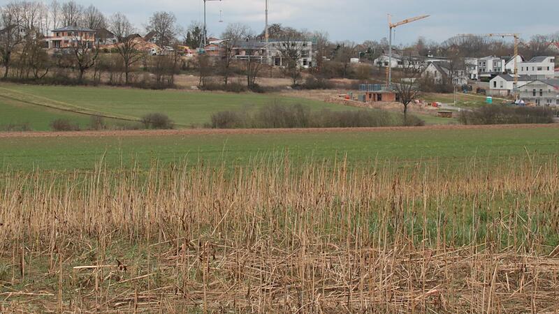 Dieses Gebiet am Häckersteig im Nordwesten von Höchstadt darf nach dem Bürgerentscheid im vergangenen Jahr als mögliches Bauland in den neuen Flächennutzungsplan aufgenommen werden.