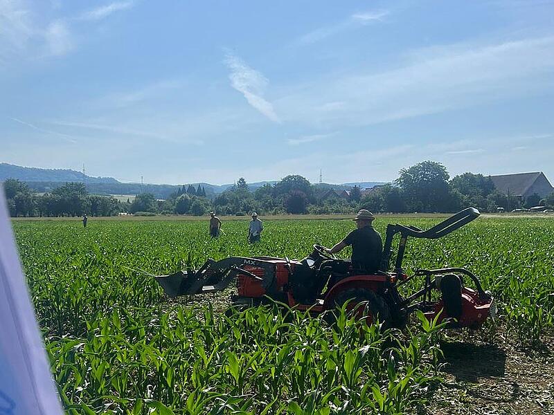 Maislabyrinth GosbergForchheim & Fränkische Schweiz