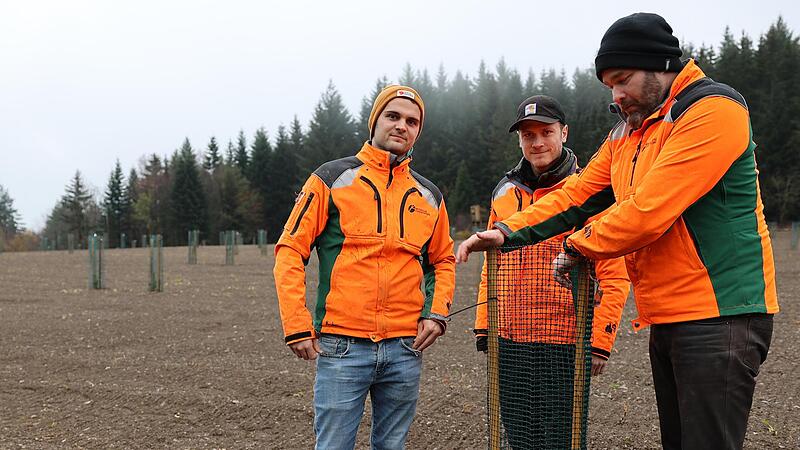 Revierleiter Felix Kruhme (links), der Leiter des Forstbetriebs Nordhalben, Daniel Kraus (rechts), und dessen Stellvertreter Antonius Haane (Mitte) sind begeistert von den kleinen Bäumchen.