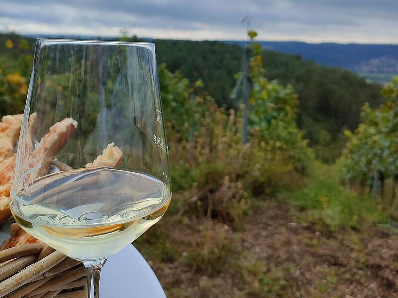 Wein stand bereit bei der Er&ouml;ffnung der Weinlese in Hammelburg 2024