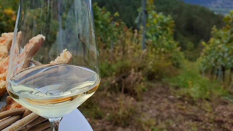 Wein stand bereit bei der Er&ouml;ffnung der Weinlese in Hammelburg 2024