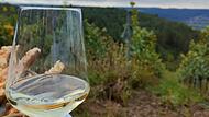 Wein stand bereit bei der Eröffnung der Weinlese in Hammelburg 2024