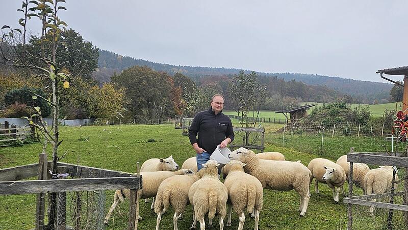 Wenn Andreas M&uuml;ller mit dem Eimer klappert, kommen seine Schafe, um gef&uuml;ttert zu werden.