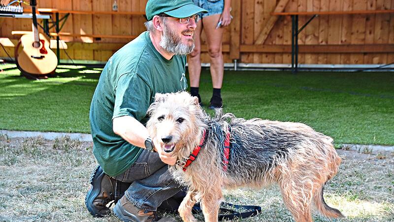 Tinka f&uuml;hlt sich im Tierheim gar nicht wohl und hofft auf liebevolle neue BesitzerUschi Prawitz