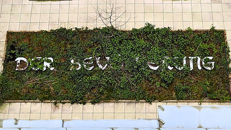 Projekt im Deutschen Bundestag Projekt im Deutschen Bundestag