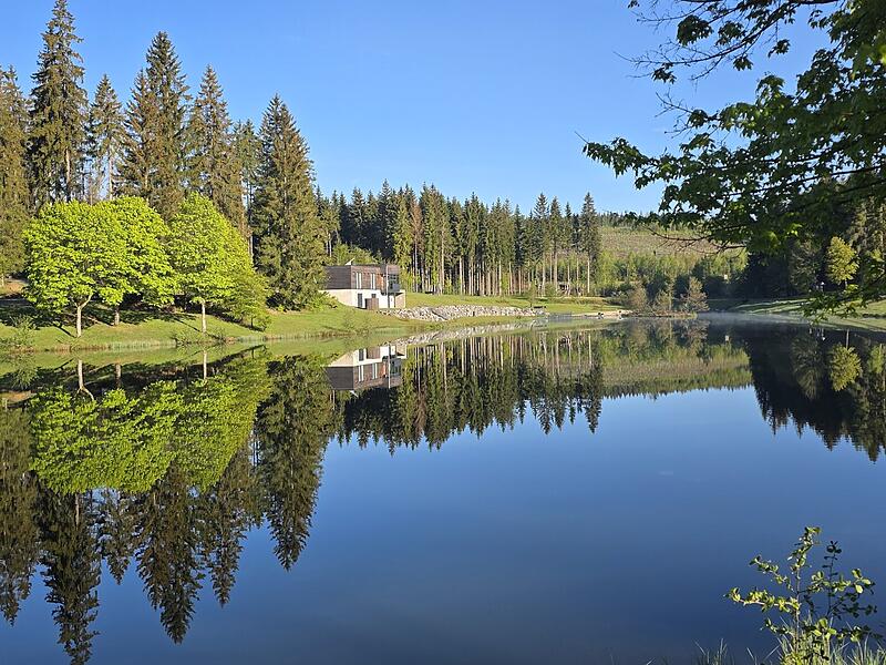 Leserfotos: So sch&ouml;n ist der Sommeranfang im FrankenwaldLeserfotos: So sch&ouml;n ist der Sommeranfang im Frankenwald