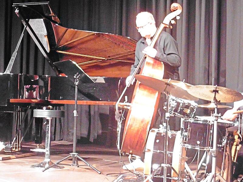 Drei Könner am Werk: Das Dieter-Ilg-Trio begeistert das Publikum in der Fortuna Kulturfabrik. Rudolf Görtler Drei Könner am Werk: Das Dieter-Ilg-Trio begeistert das Publikum in der Fortuna Kulturfabrik. Rudolf Görtler