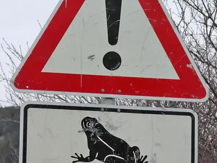 Diese Verkehrsschilder weisen auf die Kröten hin. Diese Verkehrsschilder weisen auf die Kröten hin.