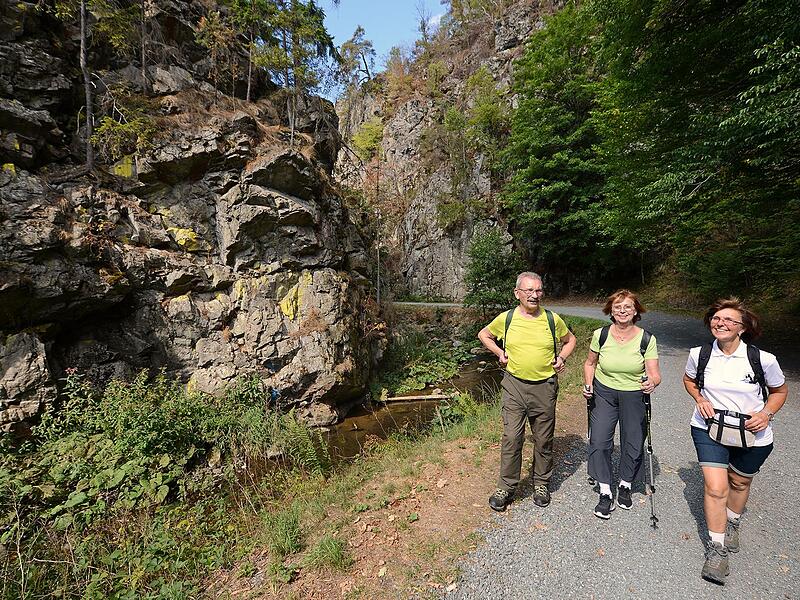 Eine eindrucksvolle Wanderstrecke: M&auml;chtige Felsw&auml;nde ragen in der Steinachklamm empor.Klaus R&ouml;&szlig;ner