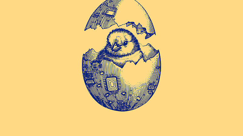 Das KI_K&uuml;cken schl&uuml;pft aus dem Ei