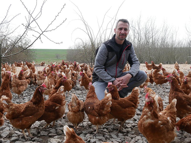 Mitten im H&uuml;hnergewusel: Landwirt Frank Vogler.