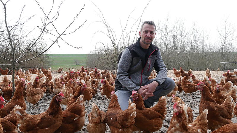 Mitten im H&uuml;hnergewusel: Landwirt Frank Vogler.