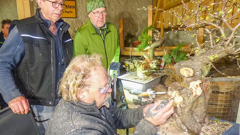 Gil Marriner aus Wichsenstein ist Bonsai-Knstler