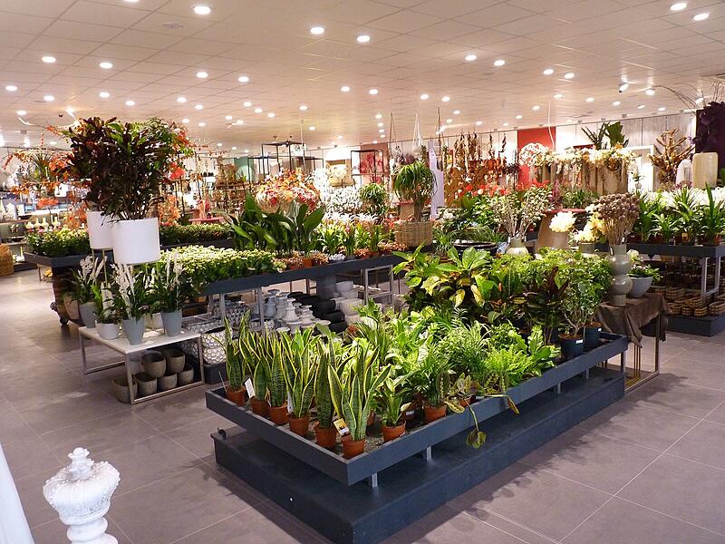 Ein Rundgang in Fotos: Das Angebot in den neuen Gesch&auml;ftsr&auml;umen von Blumen Lechner in H&ouml;chstadt