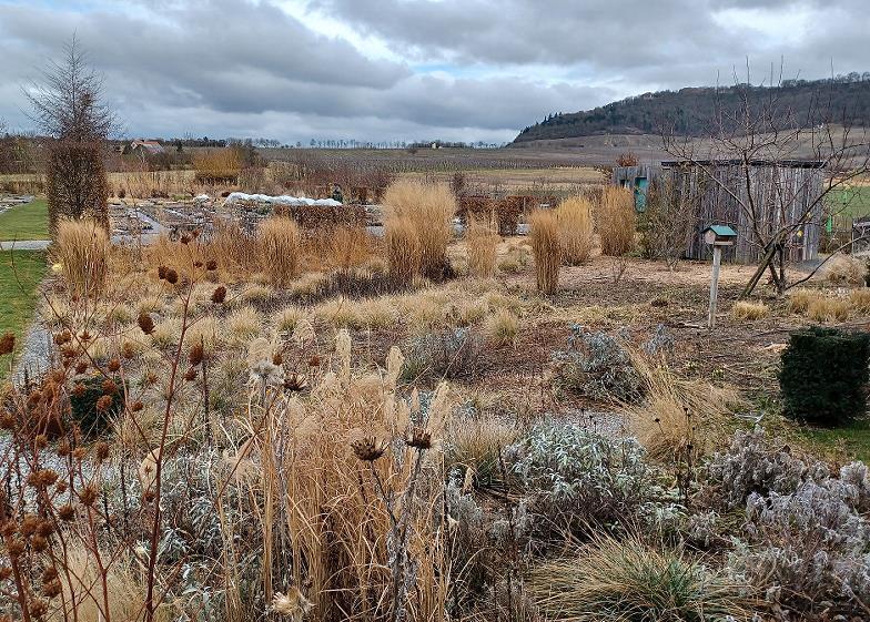 G&auml;rtnermeister Till Hofmann referiert zu trockenvertr&auml;glichen Staudenpflanzungen.