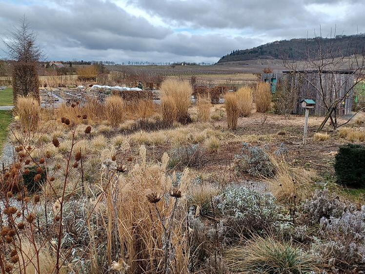 G&auml;rtnermeister Till Hofmann referiert zu trockenvertr&auml;glichen Staudenpflanzungen.
