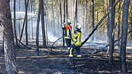 Feldbrand breitet sich zu Waldbrand aus
