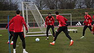 Der 1. FC Nürnberg trainiert auf dem Adi-Dassler-Sportplatz.