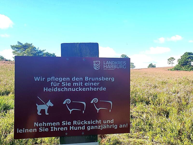 Hinweisschilder bitten Wanderer um Rücksicht.2023 Wanderinnen auf dem  Heidschnuckenweg