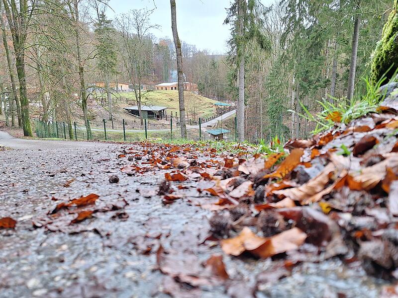 Wildpark Hundshaupten