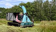 Lupinwn-Bekämpfung in der Rhön