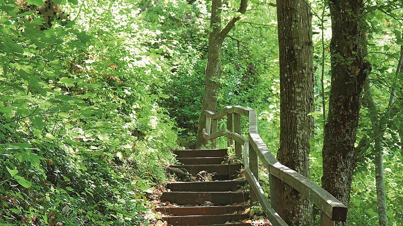 Ein Treppenaufstieg auf der Wanderung zu den Muggendorfer Höhlen.Forchheim & Fränkische Schweiz Ein Treppenaufstieg auf der Wanderung zu den Muggendorfer Höhlen.Forchheim & Fränkische Schweiz