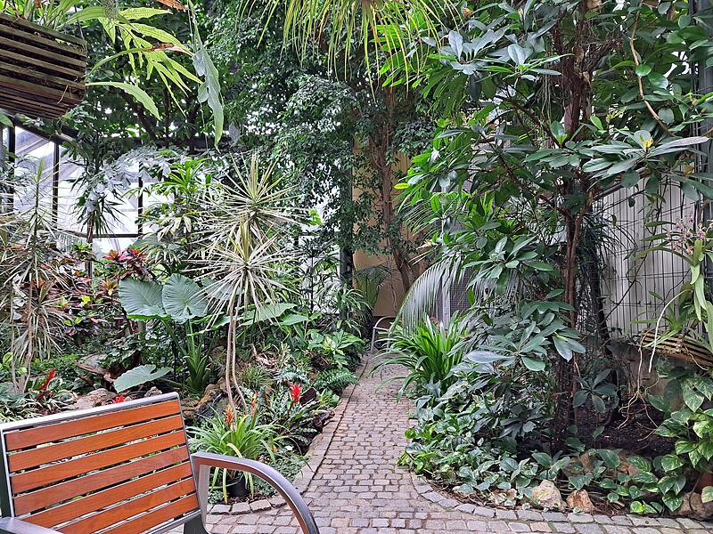 Der absolute Favorit steht aber im Palmenhaus. Wenn man die hohe Luftfeuchtigkeit mal vergisst, ist das sicher der beste Ausblick.