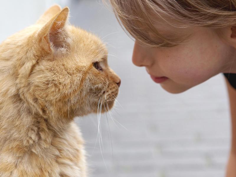 Blinzeln Sie zur&uuml;ck