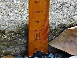 Diese sind teils vier Zentimeter tief. Britta Schnake Diese sind teils vier Zentimeter tief. Britta Schnake
