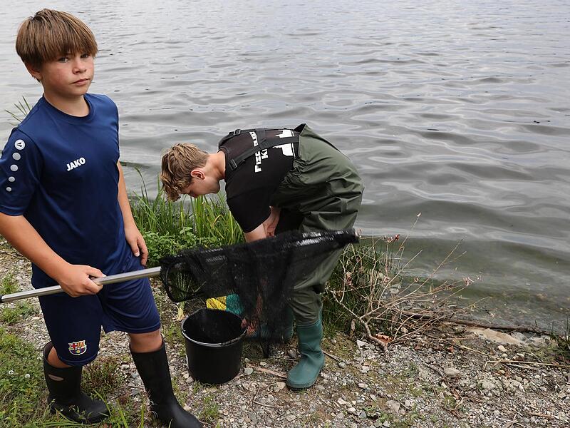 Henry Scherm und Gabriel Rochholz vom Fischereiverein Kulmbach haben die Aufgabe, die toten Fische aufzusammeln. Beide Jugendliche sind geschockt &uuml;ber die Vielzahl.