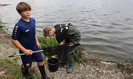 Henry Scherm und Gabriel Rochholz vom Fischereiverein Kulmbach haben die Aufgabe, die toten Fische aufzusammeln. Beide Jugendliche sind geschockt &uuml;ber die Vielzahl.