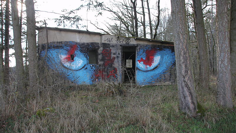 Zwei blaue Augen leuchten Besuchern der Hidden Gallery entgegen.