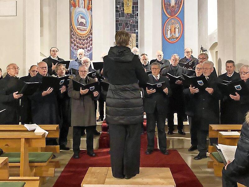 Der Landkreis-Männerchor bei seinem Auftritt Der Landkreis-Männerchor bei seinem Auftritt