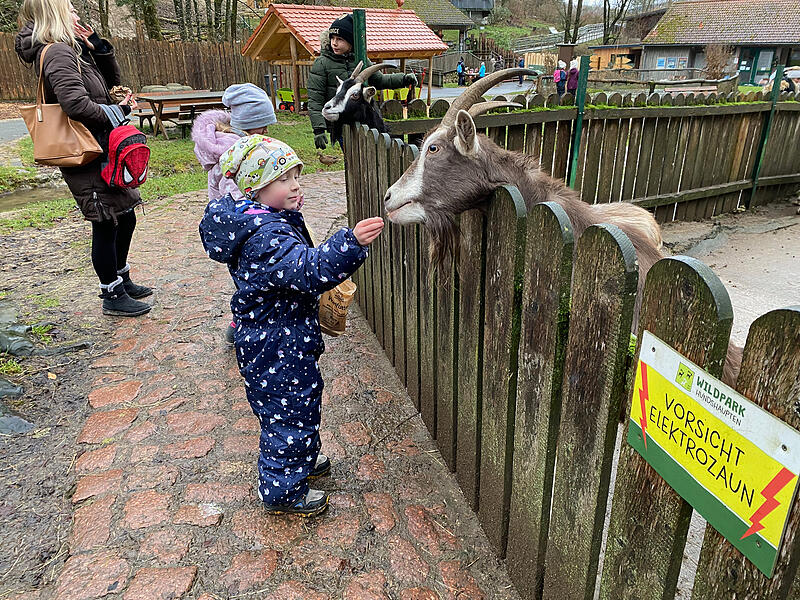 Zählen, beobachten und verbinden: so finden die Kinder das richtige Lösungswort der Hundshauptener Oster-Rallye.
