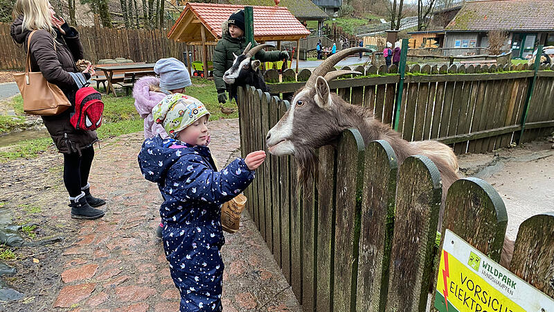 Z&auml;hlen, beobachten und verbinden: so finden die Kinder das richtige L&ouml;sungswort der Hundshauptener Oster-Rallye.
