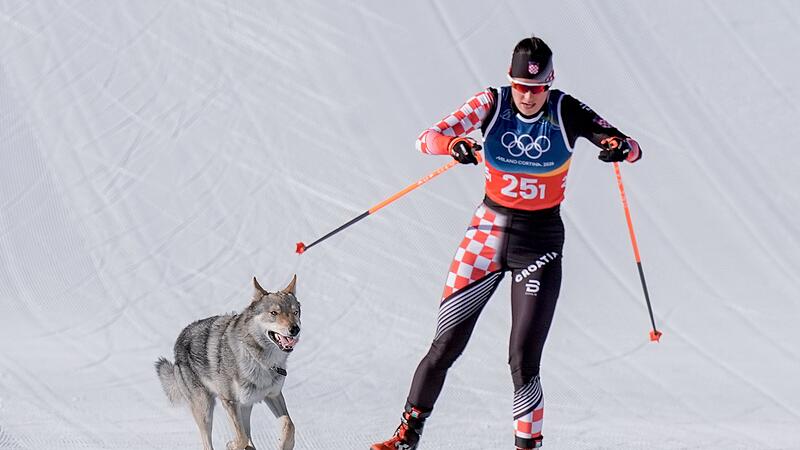 Olympische Winterspiele 2026