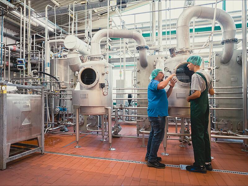Ein Blick in die Produktionshalle f&uuml;r pflanzliche Extrakte. Hier dominieren Edelstahlbeh&auml;lter und unz&auml;hlige Leitungen das Bild.