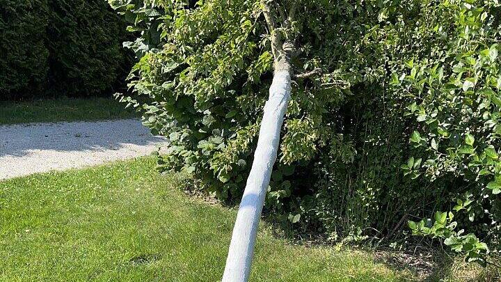 Vandalismus in Reichenbach