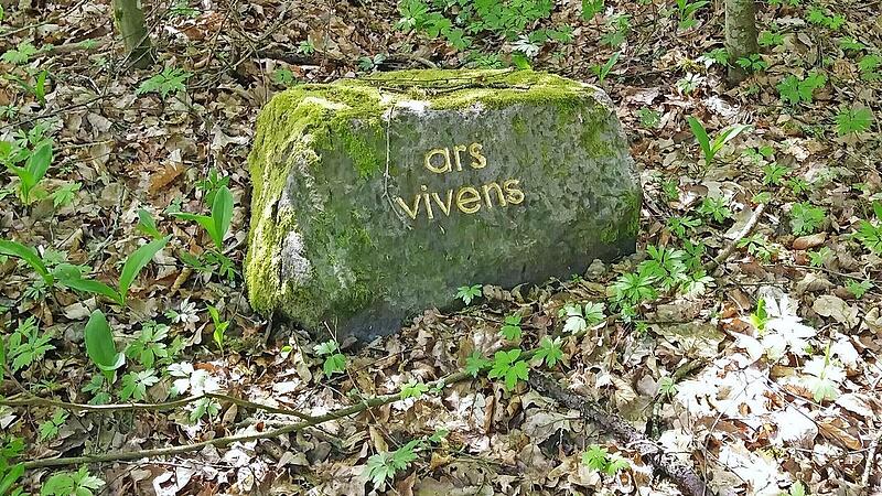 Der Stein „ars vivens“ befindet sich inmitten einer Naturschutzwiese im Stadtwald Eltmann.