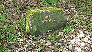 Der Stein „ars vivens“ befindet sich inmitten einer Naturschutzwiese im Stadtwald Eltmann. Der Stein „ars vivens“ befindet sich inmitten einer Naturschutzwiese im Stadtwald Eltmann.