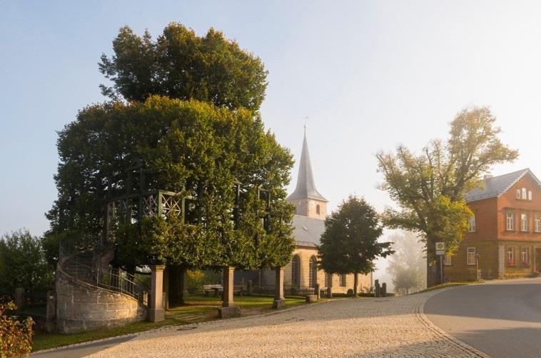 Tanzlinde mit Kirche und dem früheren alten Schulhaus (heute Töpferei Trommler) im Jahr 2014