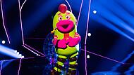 „The Masked Singer“ „The Masked Singer“