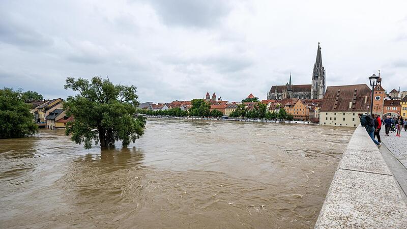 Die Donau f&uuml;hrte Anfang Juni an der Steinernen Br&uuml;cke Hochwasser. Tagelang k&auml;mpften die Helfer in Bayern und Baden-W&uuml;rttemberg gegen die Flut und ihre Folgen.